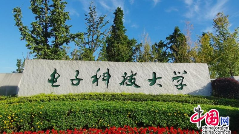 三极管零售与批发价格差异背后的秘密